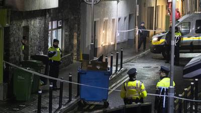 Man arrested as gardaí investigate fatal assault in Co Kildare