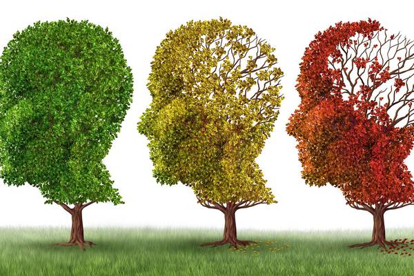 Irish researchers seeking to develop ‘tracker’ for dementia sufferers