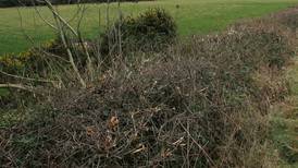 Minister warns those cutting hedgerows and burning land out of season will be prosecuted