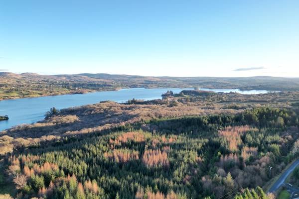 1,059-acre forestry portfolio offers sustainable investment at €7.5m