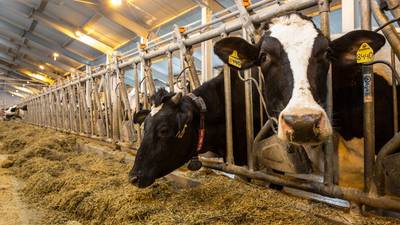 Ireland’s agriculture emissions ‘are uniquely high in Europe’