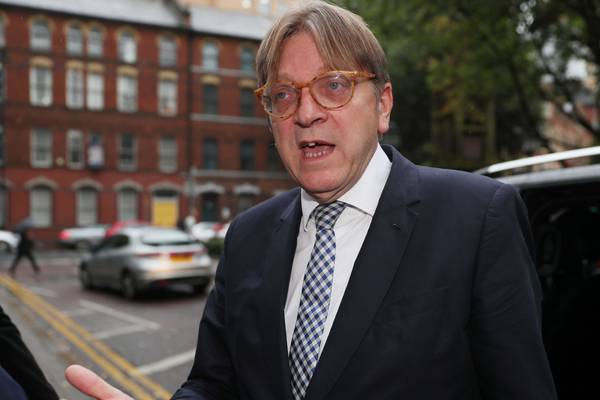 UK responsible for solution to Northern Ireland issue - Verhofstadt