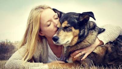 Devoted owners produce bucket list for dying pet pooch