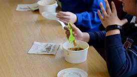 Government to continue school meals programme over summer