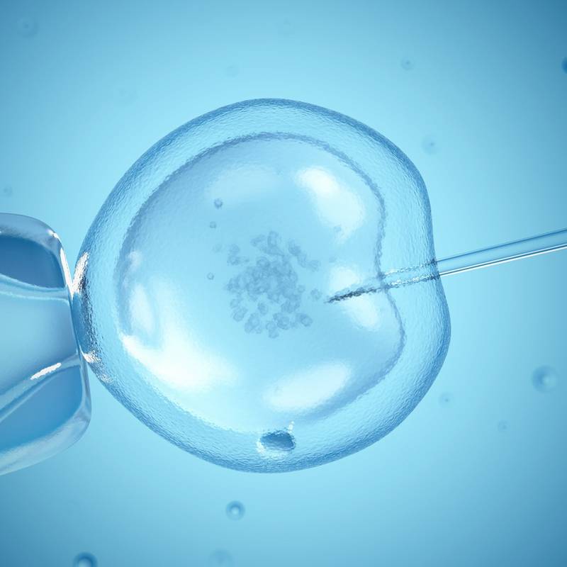 More than 400 referrals made for State-funded fertility treatment since September