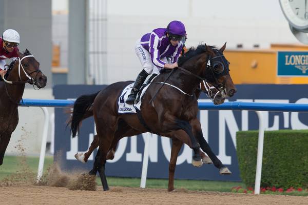 Breeders Cup win for Mendelssohn could prove O’Brien’s finest hour