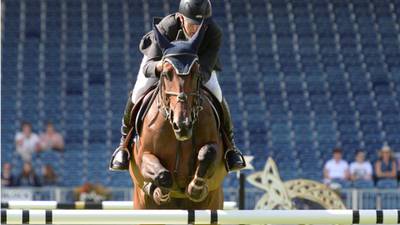 Irish sport horse will become extinct if action not taken, breeders warn