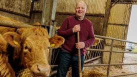 Irish farm groups hail European vote result on export of live animals
