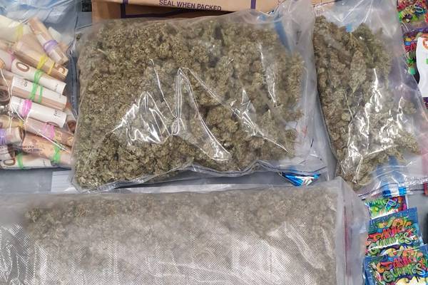 Cannabis herb and cash worth €125,000 seized in Galway