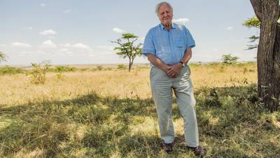 David Attenborough: ‘To continue, humans require more than intelligence. We require wisdom’