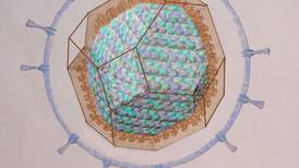 How does the much-maligned Euclid’s Elements relate to coronavirus?
