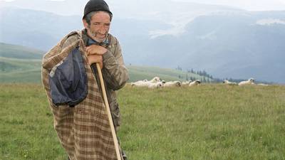 What Carpathian shepherds can teach us about patience and isolation