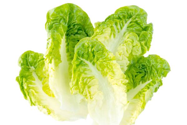 How to turn lettuce leaves into Little Gems