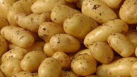 Small potatoes: Space for spuds at 20-year low as prices fall