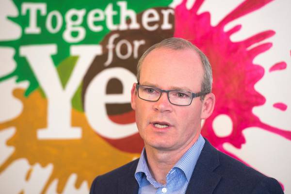 Coveney urges voters to ‘look at facts, not posters’
