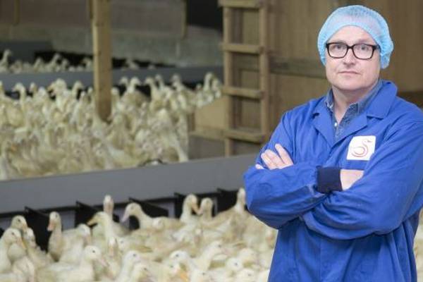 Fane Valley acquires duck processor Silver Hill Foods