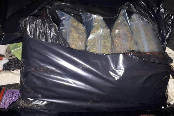 Man arrested after cannabis worth €200k seized in Longford