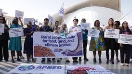 Cop28: UN targets agri-food industry with new climate recommendations