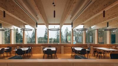 Can timber-framed homes using Irish timber be part of solution to reduce carbon emissions?