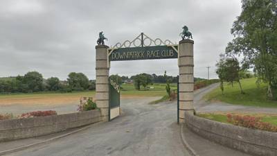 Two bronze horses stolen from Downpatrick racecourse
