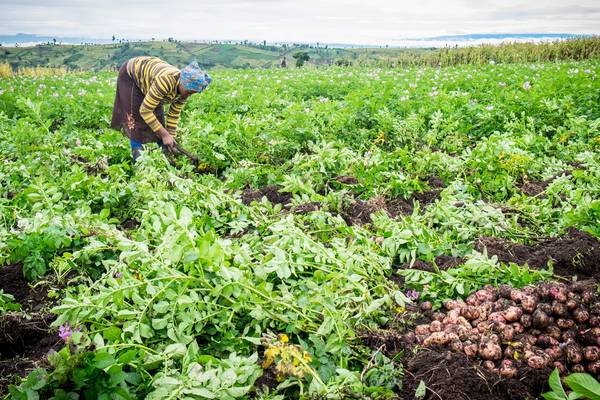 UN’s 2030 ‘zero hunger’ target in peril, Global Hunger Index shows