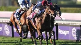Aidan O’Brien’s Unquestionable has all the answers at Breeders’ Cup 