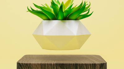 Levitos Plant pot: What’s not to like about levitating greenery?