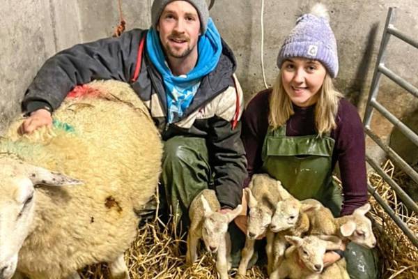 A happy ewe year for Donegal farming family