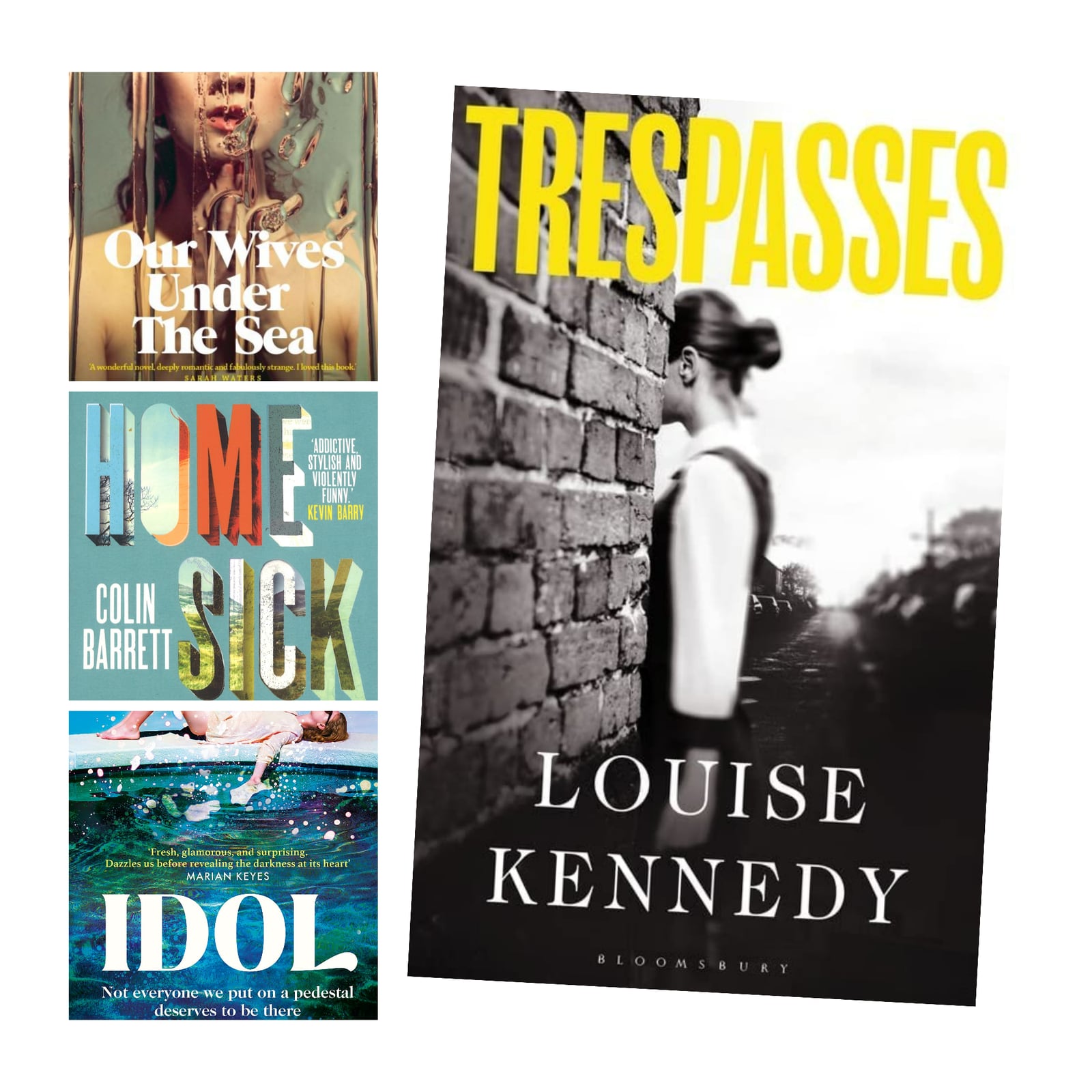 Among the year's best fiction are Our Wives Under the Sea, Homesickness, Idol and Trespass