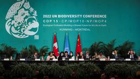 Cop15: Ireland must back up biodiversity ambition with greater protection of land - wildlife trust says 