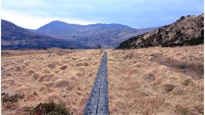 Killarney, Glacier and the emerging importance of sister national parks