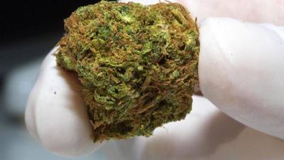 Medicinal cannabis regulations in weeks