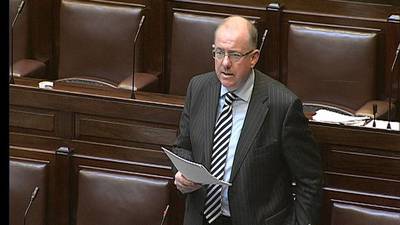 Flower power takes centre stage with lilies of the Dáil