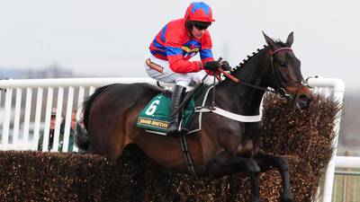 Henderson confirms Sprinter Sacre for Punchestown