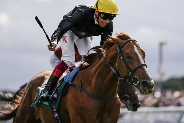 Stradivarius bids to match Yeats feat in Ascot Gold Cup