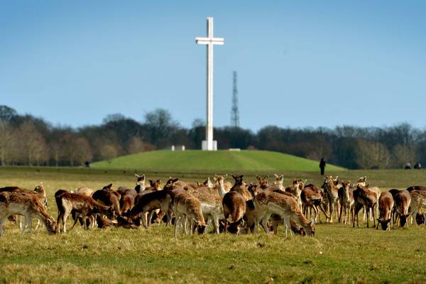 The Phoenix Park – protect and conserve: The Irish Times view