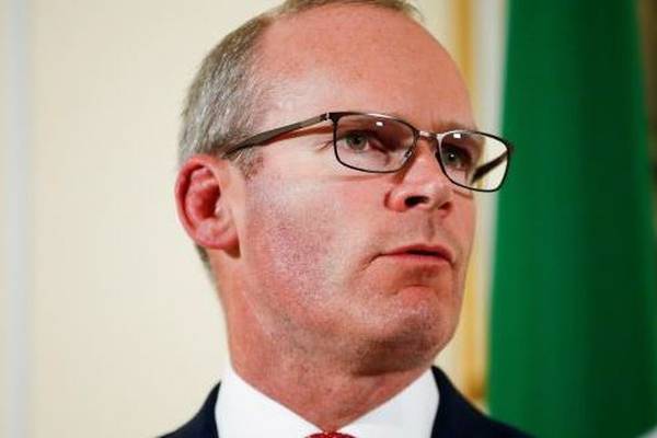 Proof is required to back up Israeli allegations against NGOs, says Coveney