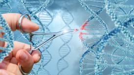 Irish absence from EU genome project harmful to DNA of our health system