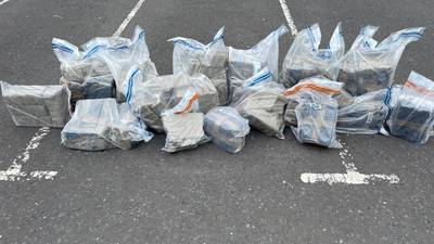 Two men arrested after discovery of cannabis worth £2.1m in Co Tyrone