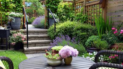 Eight clever ways to transform your garden this summer