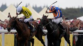 Order Of St George denied another Ascot Gold Cup