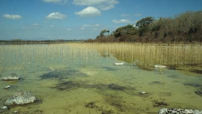 Time is running out for Lough Carra