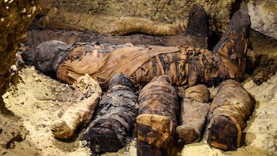 Egypt unveils ancient burial site containing 50 mummies