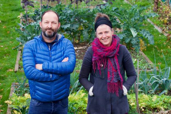 Growing pains: The Dublin community gardens under threat