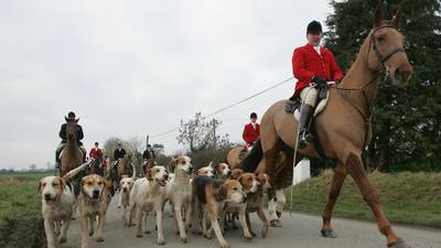 Ward Union under investigation for alleged breach of hunting law
