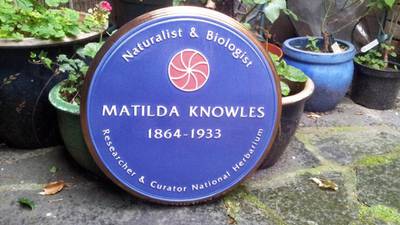 To Matilda Knowles: a woman’s life in lichen honoured in death