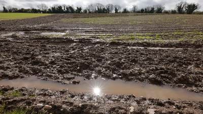 Late harvest and lower crop yields in store as rain delays planting
