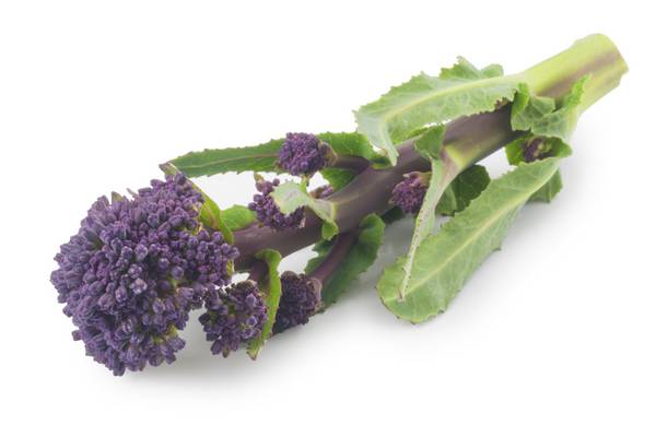 How to eat PSB (what hipsters call purple sprouting broccoli)