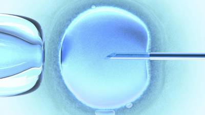 Too many couples receiving unnecessary IVF, study warns
