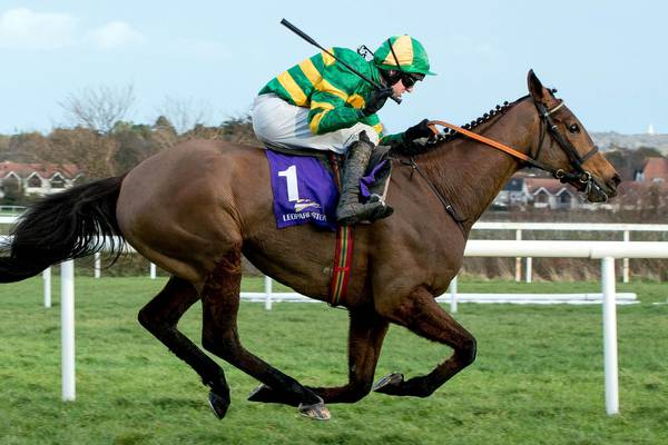 Carlingford Lough has all eyes on Irish Gold Cup